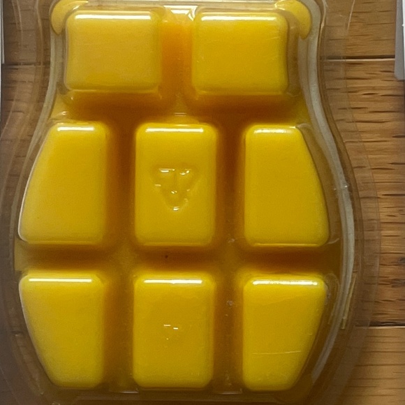 3 Brand New Scentsy Scent Packs - Picture 8 of 8